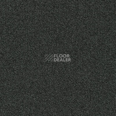 Ковровая плитка Modulyss Millennium Nxtgen Millennium Nxtgen 993 фото 1 | FLOORDEALER